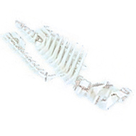 Very Light Bluish Gray Bionicle Piraka Spine Flexible with Mask and Arm Covers Thok